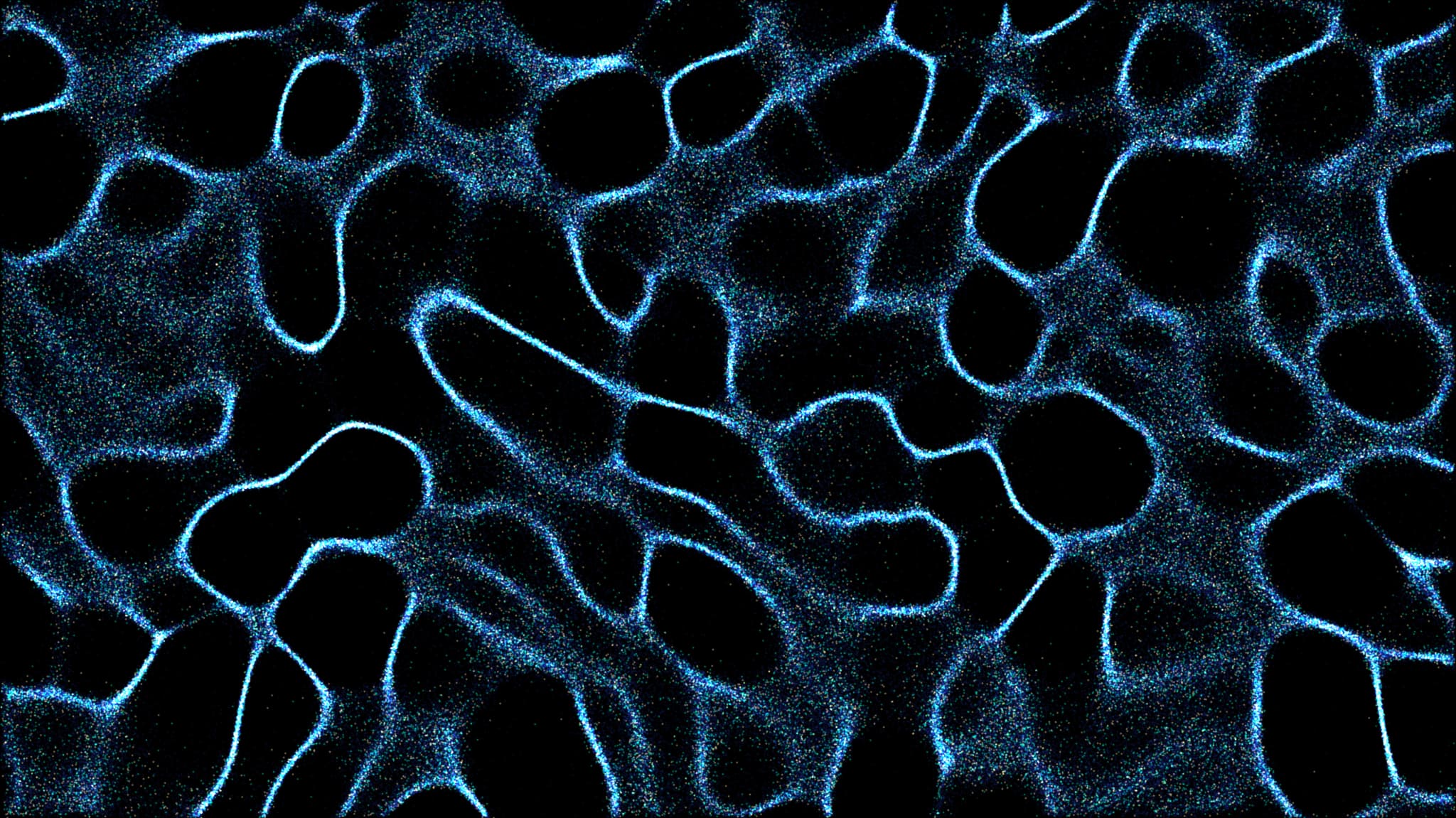 Optimism: From Plasma Group Research to a $2B+ Layer 2 Ecosystem